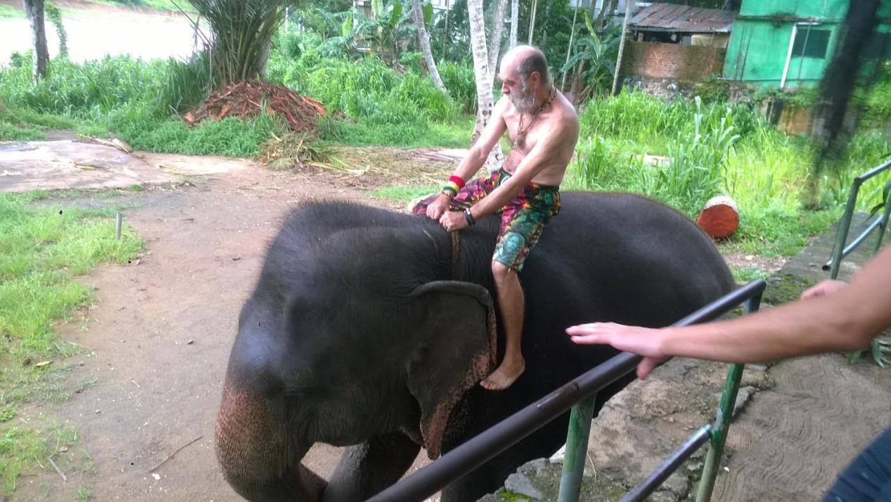 海湾度假村 Wennappuwa 外观 照片